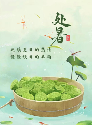 處暑至 收獲季丨在處暑中展望未來(lái)